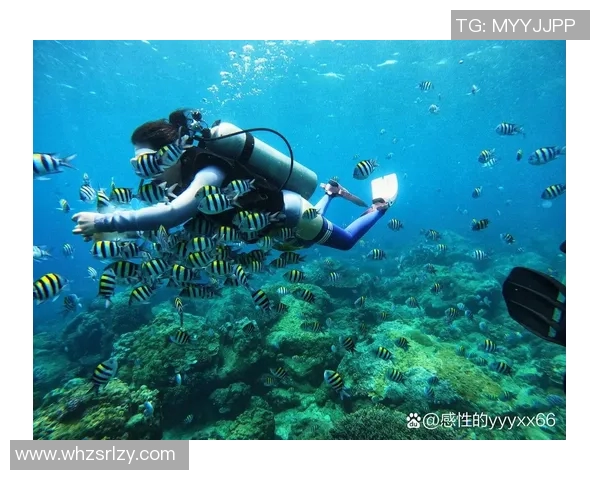 时尚与功能兼备的潜水泳装设计，带你探索海底世界的极致体验