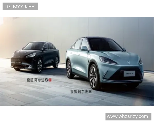 上海滑板队区域防守分析与战术调整的深度探讨 上海滑板队区域防守分析与战术调整的深度探讨