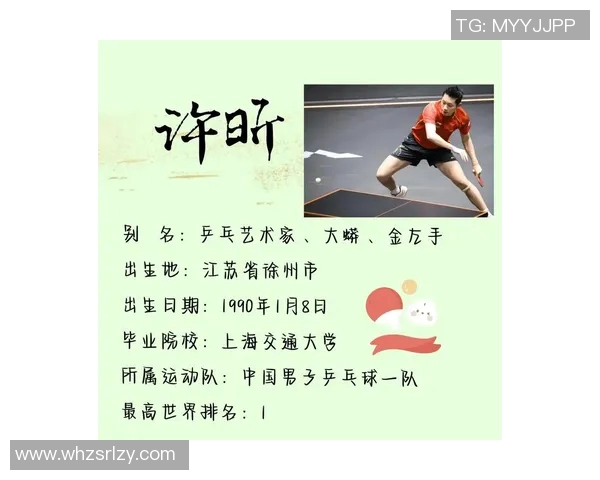 北京乒乓球队精英赛背后的拼搏故事与奋斗历程揭秘 北京乒乓球队精英赛背后的拼搏故事与奋斗历程揭秘