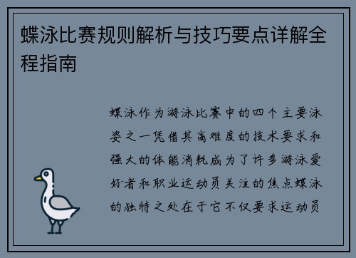 蝶泳比赛规则解析与技巧要点详解全程指南