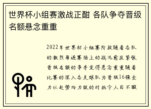 世界杯小组赛激战正酣 各队争夺晋级名额悬念重重
